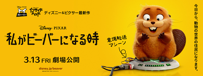 私がビーバーになる時