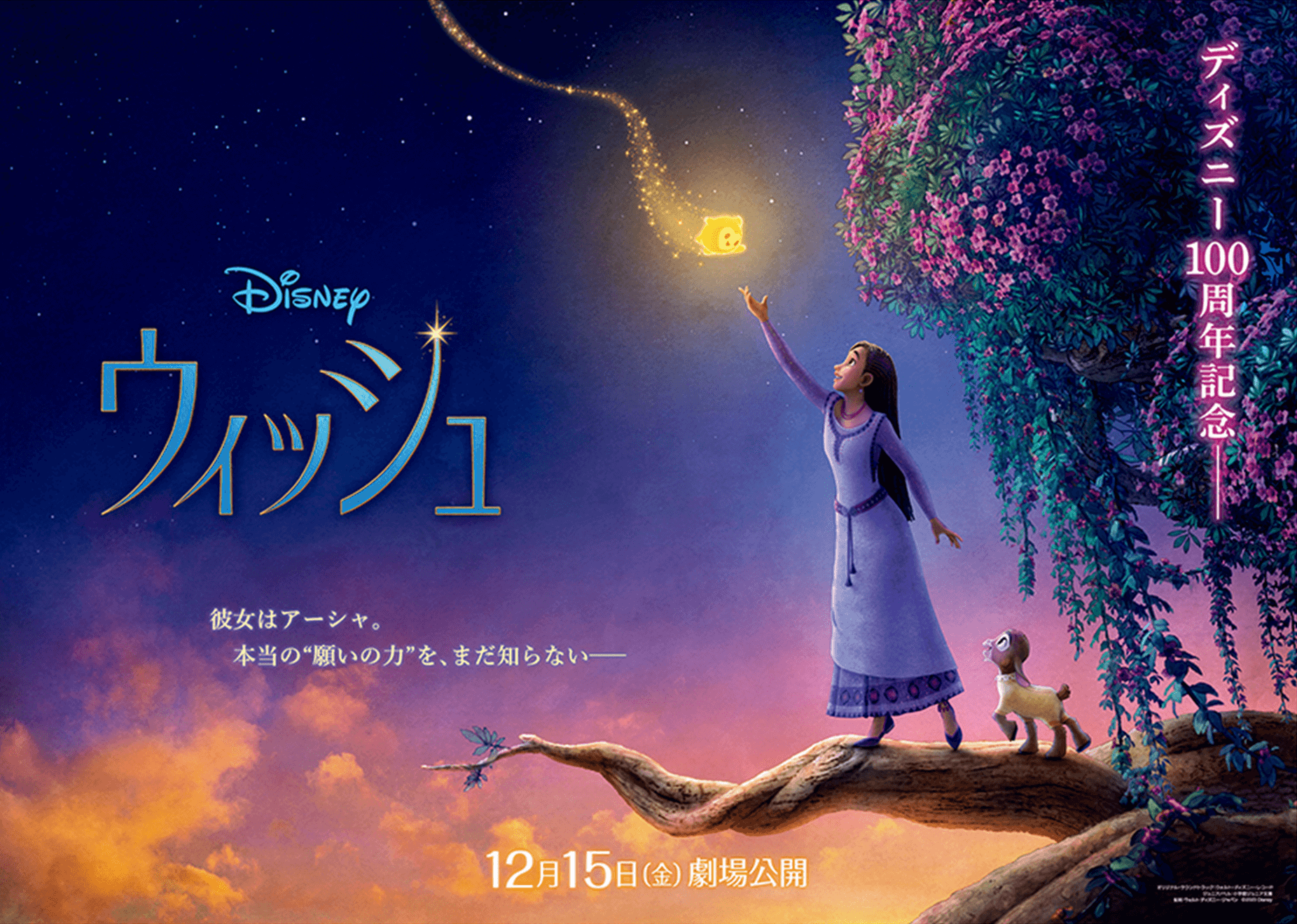 ディズニー100周年記念作品『ウィッシュ』