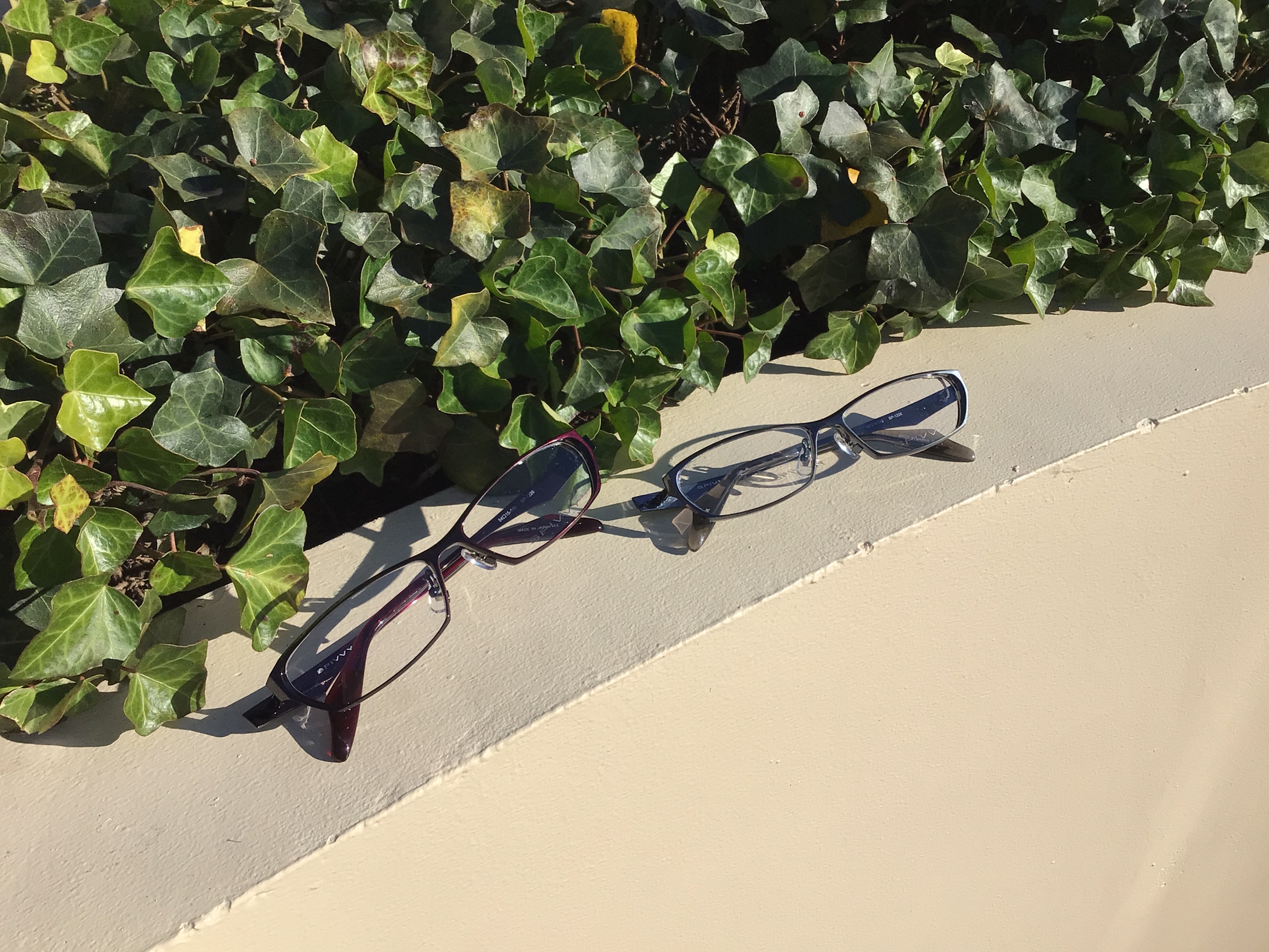 KANEKO OPTICAL 金子眼鏡