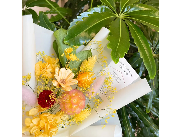 cuccuma